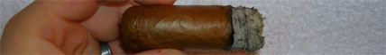 Nub 460 Connecticut - 4